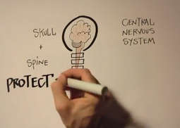 La chiropraxie illustrée