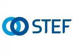 Stef