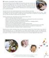 fiche conseil de l'UFSBD sur l'entretien des dents du bébé et de l'enfant