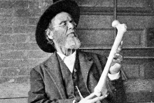 histoire de l'ostéopathie Andrew Taylor Still par ostéopathe nandy proche Melun