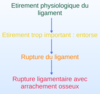 pathologies ligamentaires entorse arrachement osteopathe du sport nandy