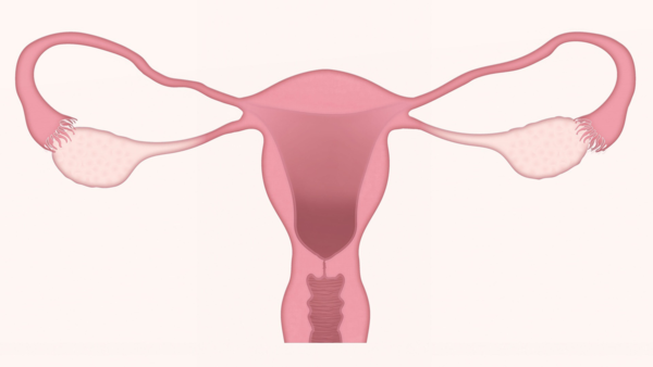 endometriose et osteopathe