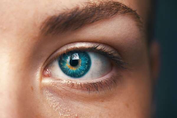 Vision, convergence, posture : un lien méconnu qui change tout
