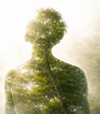 Équilibre naturel avec éléments de vie et de santé