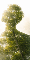 Équilibre naturel avec éléments de vie et de santé