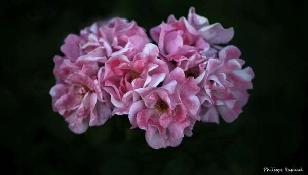 “Et si c’était juste du stress ?”… ou quand l’anxiété prend toute la place