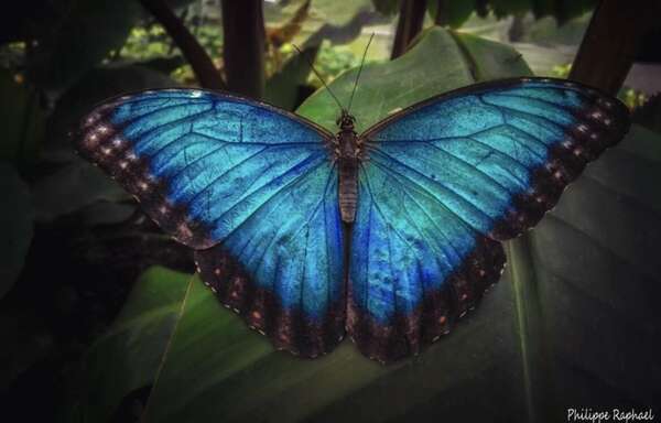 Et si votre enfant n’arrivait vraiment plus à aller à l’école ?