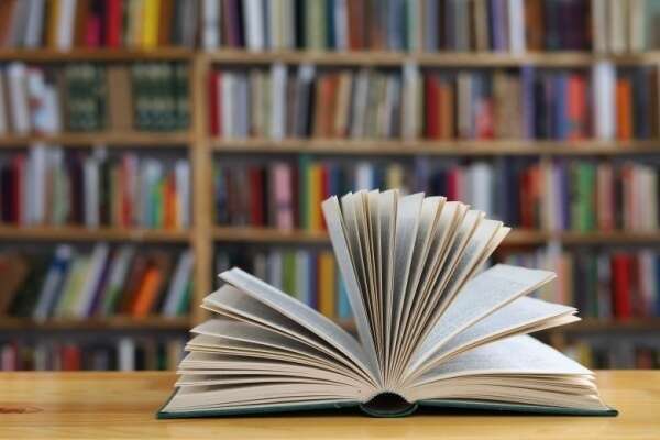 Indice de la production dans l’édition - Année 2025