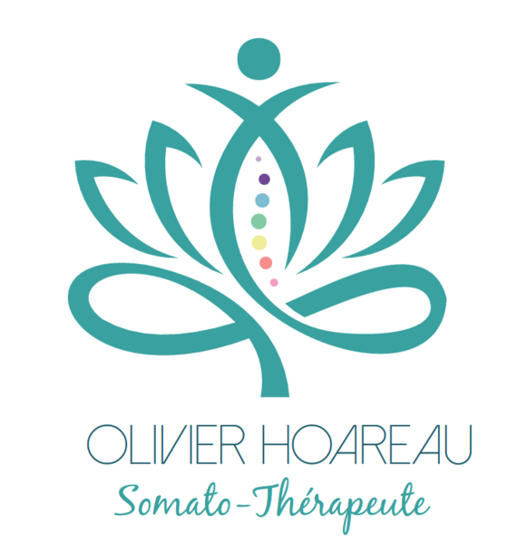 Logo Olivier HOAREAU Logo Olivier HOAREAU