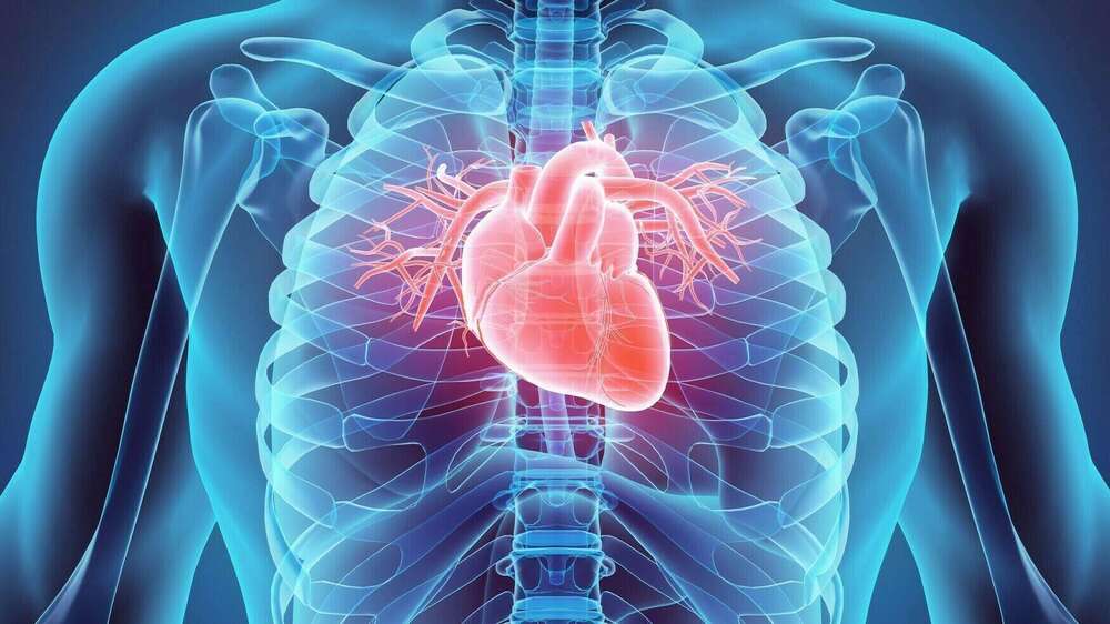 Prévention des endocardites infectieuses d’origine bucco-dentaire