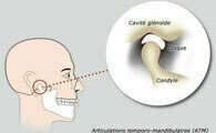 DAM ET ARTICULATIONS TEMPORO-MANDIBULAIRES (ATM)