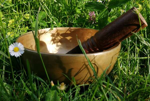 Joli retour sur la journée yoga solidaire