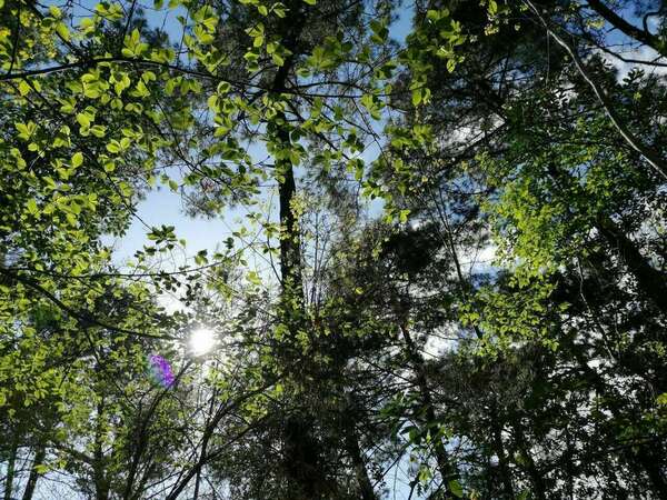 Voici enfin le programme de notre séjour bien-être de septembre