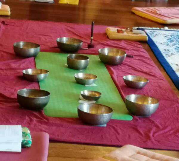 Une nouvelle certification en thérapeutique : ma formation avec Diane Mandle validée