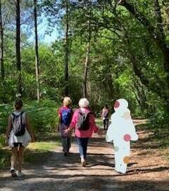 Sophro balade de juillet : un moment agréable en forêt pour toutes les participantes