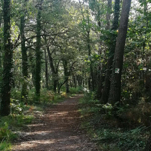 Une sophro balade en privé