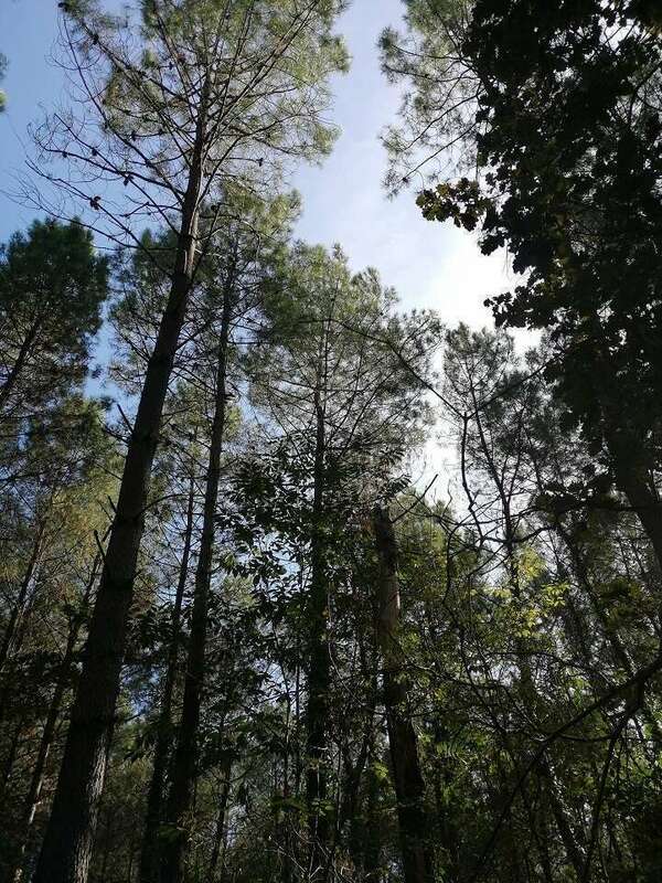 Sophro balade d'octobre : une super matinée ensoleillée et zen