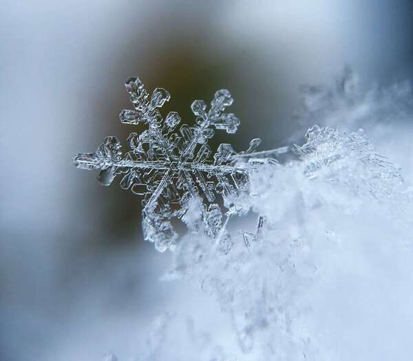 Programme de février 2026