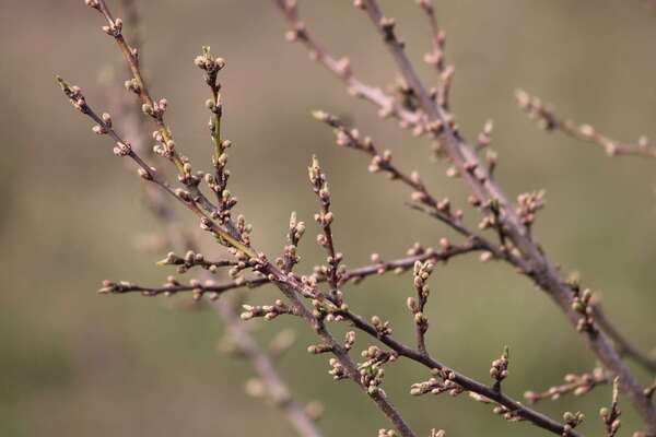 Programme de mars 2026