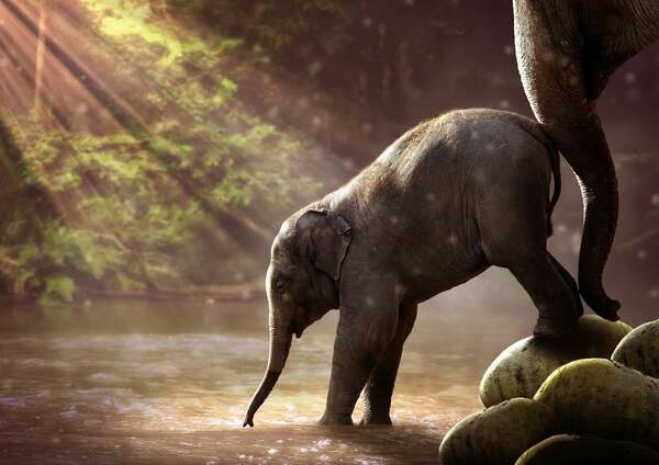 Comment vivre mieux  ?