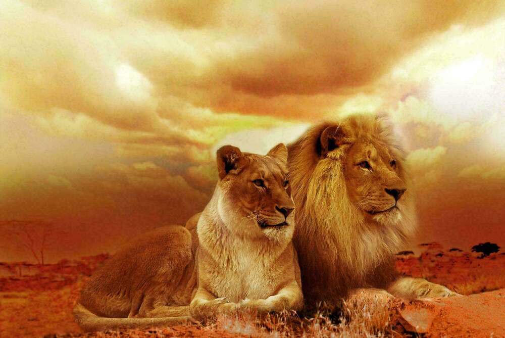 thérapie de couple
