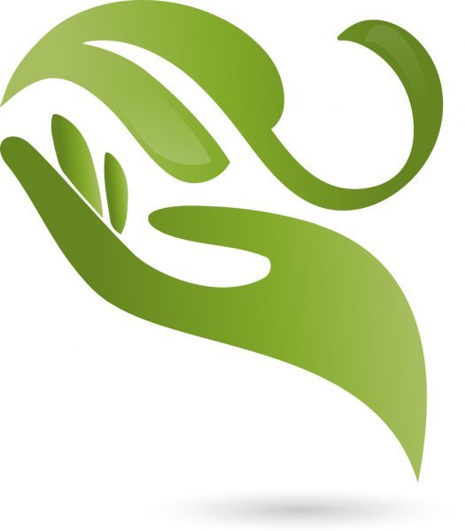 Logo Naturopathe du Rhin