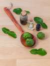 Naturopathie