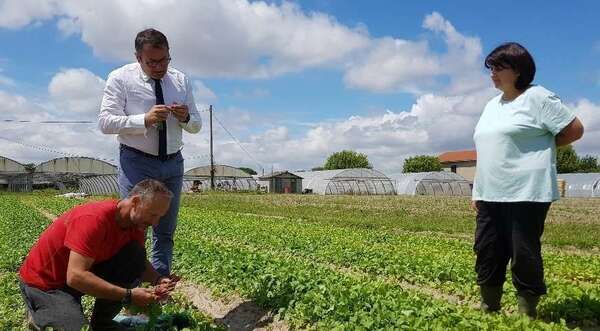 Les Rencontres Economiques du Nord Toulousain : visite des maraîchages Miotto à Launaguet
