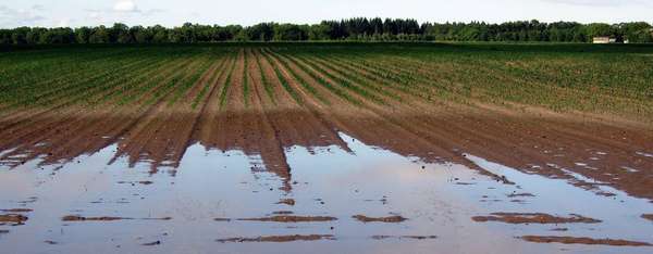 Question Ecrite sur le soutien à l'agriculture haut-garonnaise face aux intempéries 2018