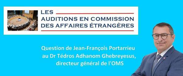 Mon intervention en commission  des affaires étrangères lors de l'audition du Directeur Général de l'OMS