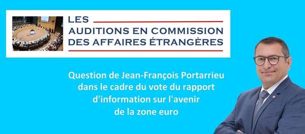 Mon intervention en commission des affaires étrangères sur le rapport d'information sur l'avenir de la zone euro