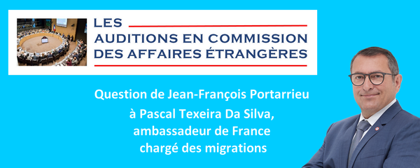 Mon intervention en commission des affaires étrangères sur le Pacte de Marrakech
