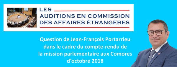 Mon intervention en commission des affaires étrangères sur la mission aux Comores