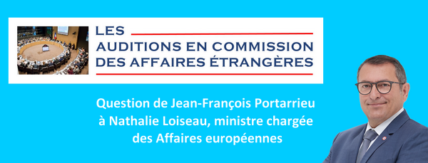 Mon intervention en commission des affaires étrangères sur le Traité d’Aix-la-Chapelle et le projet de fusion Alsthom/Siemens 