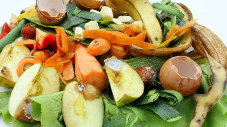 Question Ecrite sur la création d'une filière de valorisation des biodéchets dans la restauration