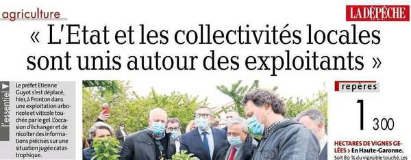 Avec le Préfet au soutien des viticulteurs et arboriculteurs du Frontonnais touchés par le gel 