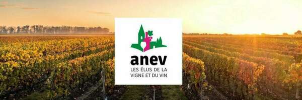 Mon élection à l'Association Nationale des Elus de la Vigne et du Vin (ANEV)