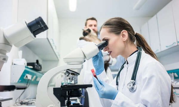 Réponse à ma Question écrite sur la situation des laboratoires de biologie