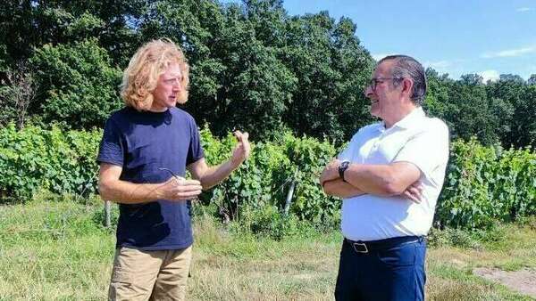 Visite du domaine viticole Bois de Devès à Castelnau d'Estrétefonds