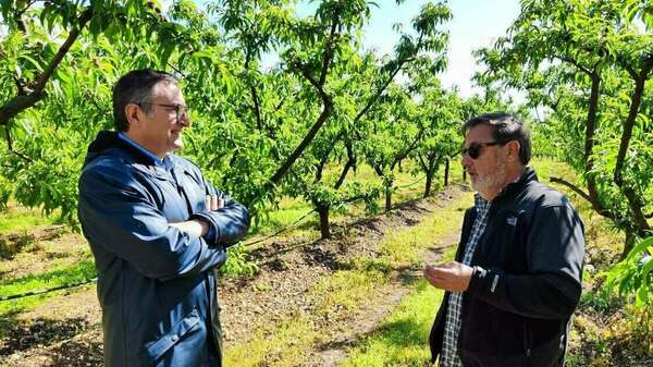 Visite du domaine viticole et arboricole Château Binest à Bouloc