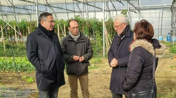 Visite de la ferme bio "Les Jardins du Ricotier" à Fenouillet