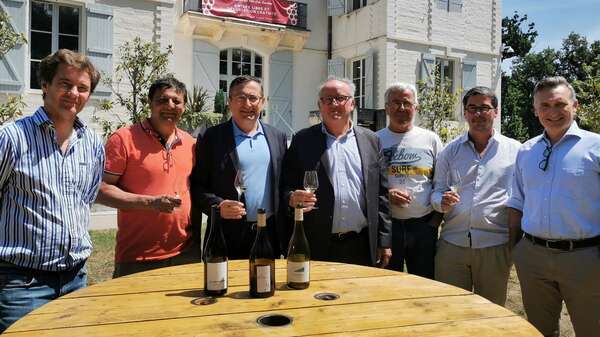 Reconnaissance du cépage Bouysselet dans l'AOP Fronton : des avancées à saluer !