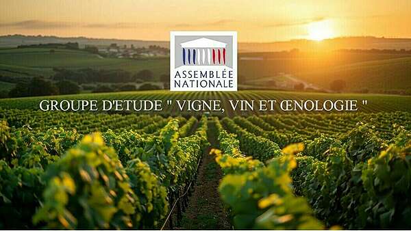 Elu co-président du groupe d'étude "Vigne, vin et oenologie"
