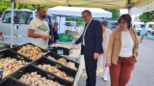 Découverte du tout nouveau marché de plein vent de Castelnau d'Estrétefonds
