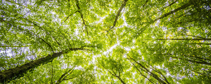 conciergerie location courte durée Le Perche