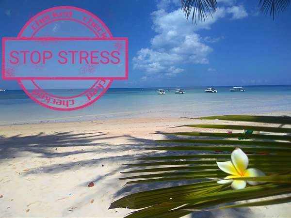 LE STRESS : QUI SE CACHE DERRIÈRE?