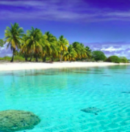 Voyage sur une île paradisiaque: