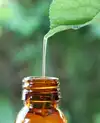 bilan de vitalité avec environnement et iris