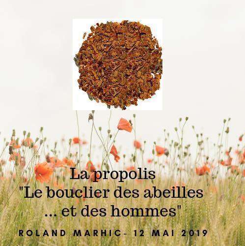 Conférence à la "fête du printemps" à Voiron le 12 Mai