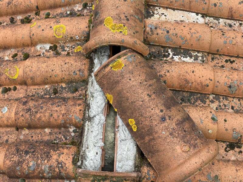 e51e0208-da08-4d52-bebf-fa27572fe1c0